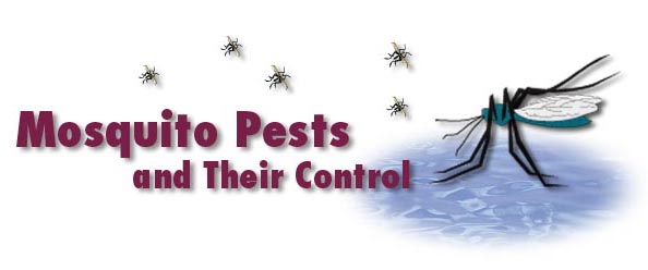 mosquito pests and their control