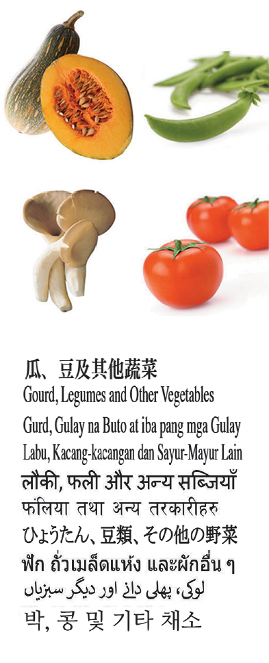Gourd, Legumes and Other Vegetables