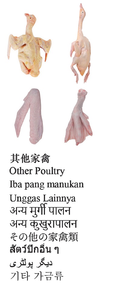 Other Poultry