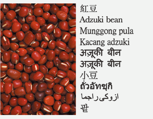 Adzuki bean