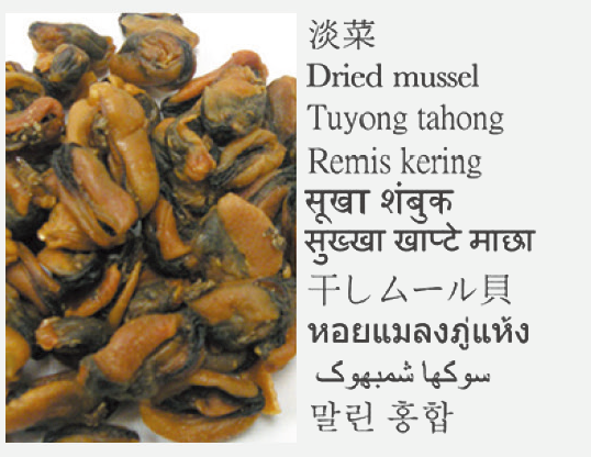 Dried mussel