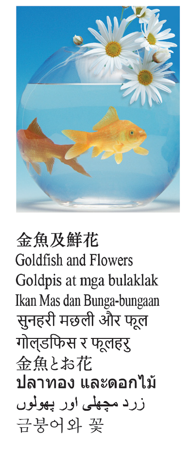 金魚及鮮花