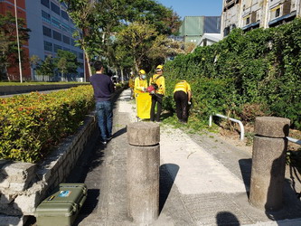 在青衣路(近青鴻路的一段)與路政署進行的聯合清潔行動1