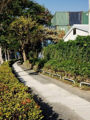 在青衣路(近青鴻路的一段)與路政署進行的聯合清潔行動3