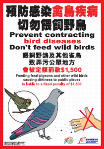 請勿餵飼野鴿及其他雀鳥