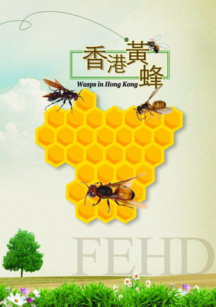 香港黃蜂封面