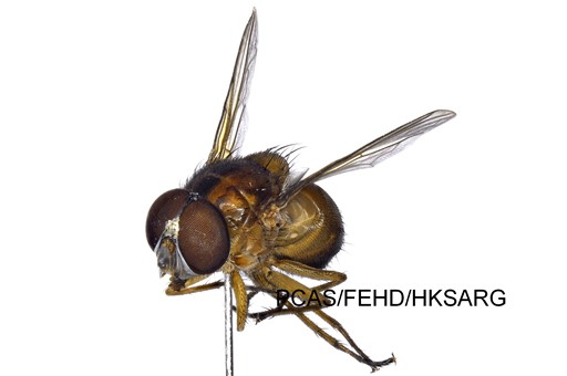 Lateral view 側面 2