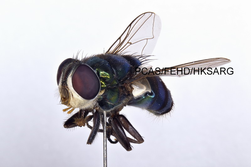 Lateral view 側面 2