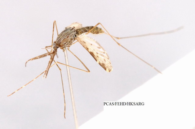 Doral view 背面圖