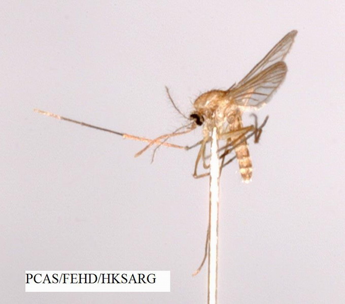 Side view (側面圖)