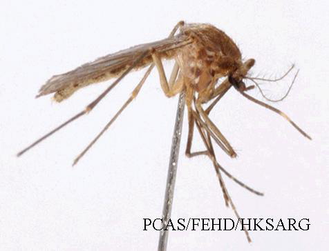 Side view (側面圖)