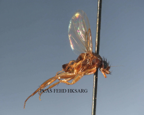 side view (側面圖)