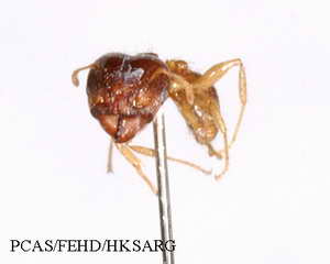 Side view 側面圖2