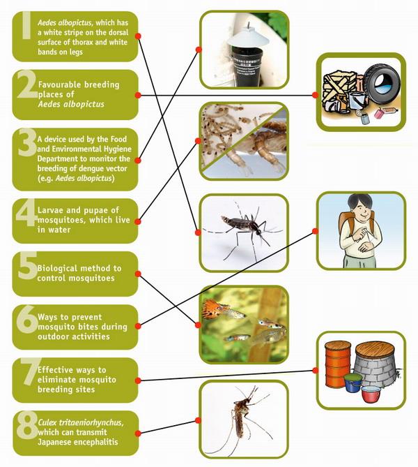 Answer of Understanding Mosquitoes and Methods of Mosquito Prevention and Control