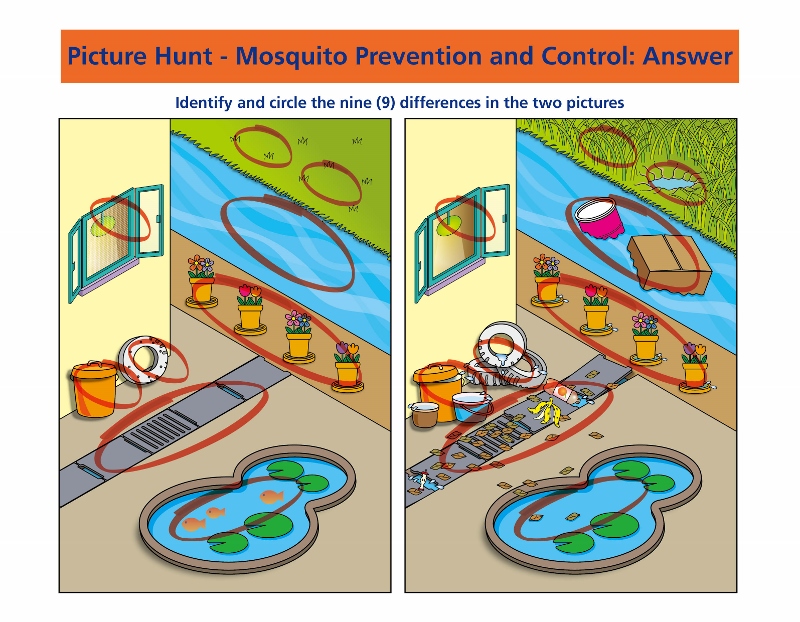 Anwser of Picture Hunt - Mosquito Prevention and Control