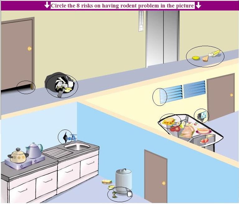 Spot the risks on having rodent problem Answer