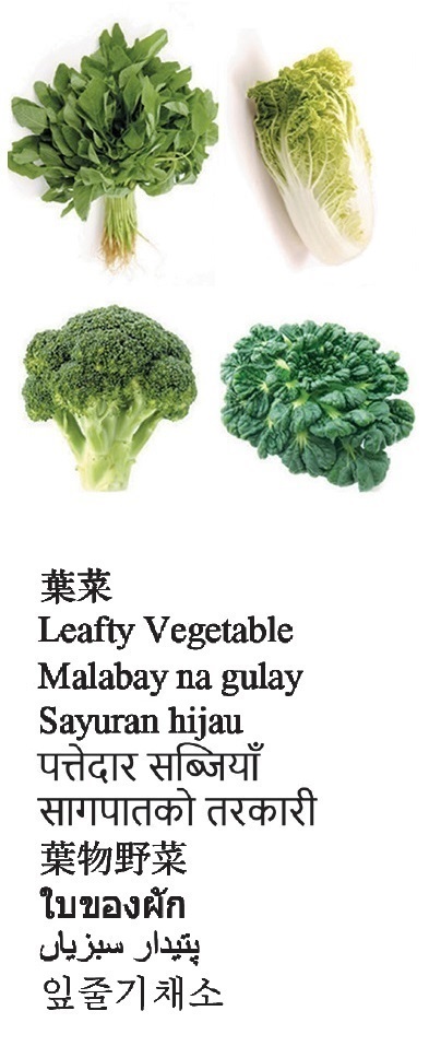 Leafty Vegetable