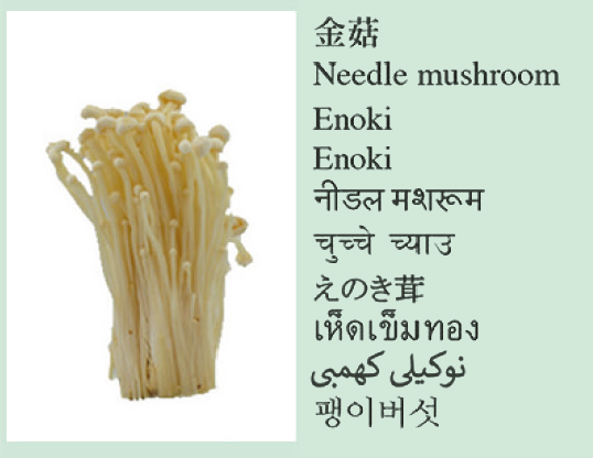 Needle mushroom