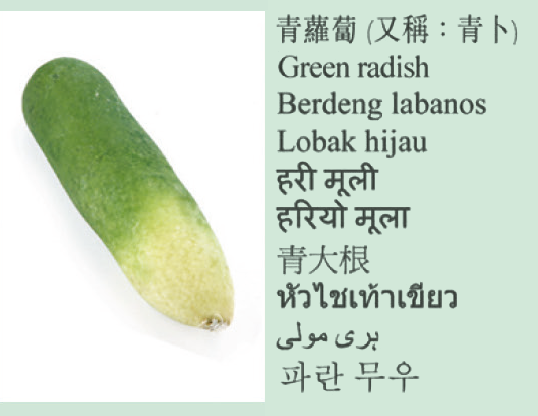 Green radish