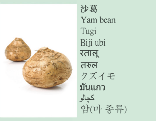 Yam bean