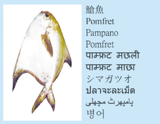 䱽魚