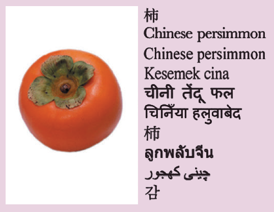 Chinese persimmon