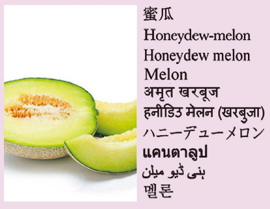 Honeydew-melon