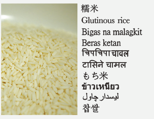 Glutinous rice