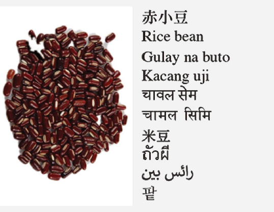 Rice bean