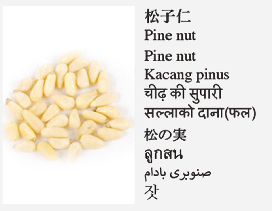 Pine nut