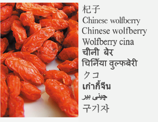Chinese wolfberry