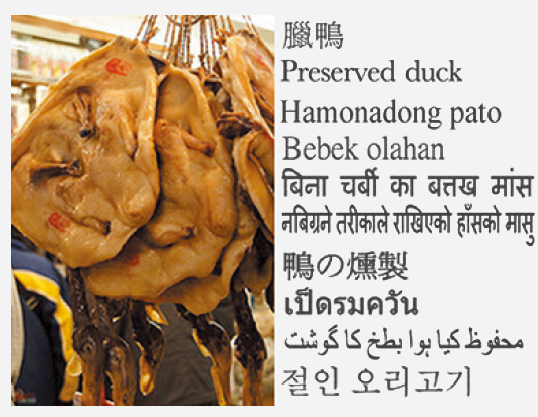 Preserved duck