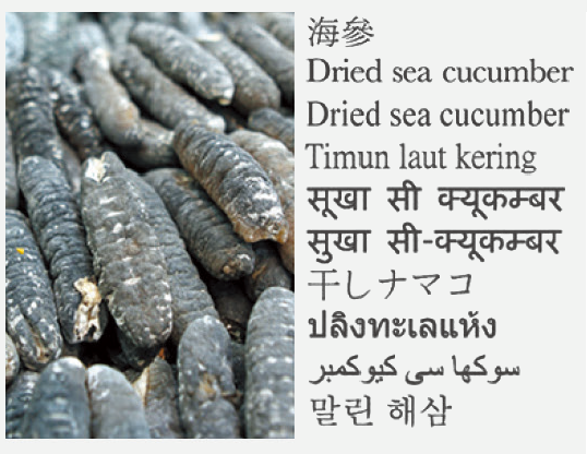 Dried sea cucumber