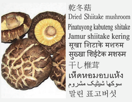 Dried Shiitake mushroom