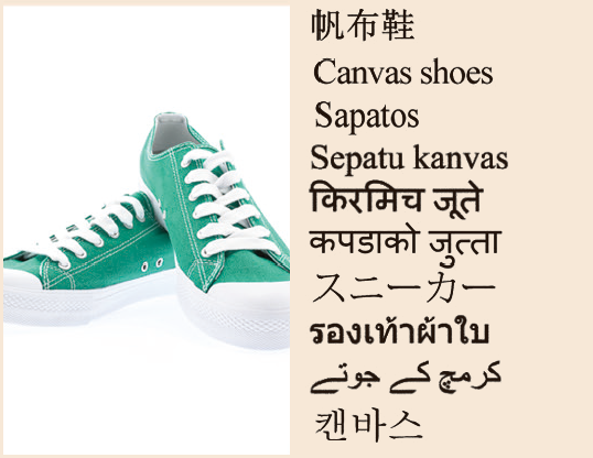 Canvas shoes