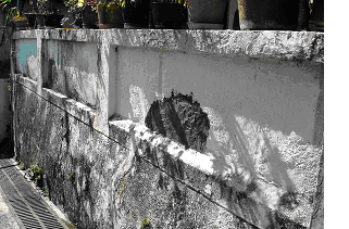 显示以一米以上高度的围墙来防鼠的照片