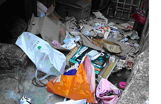 显示恶劣的卫生环境容易导致鼠患的照片