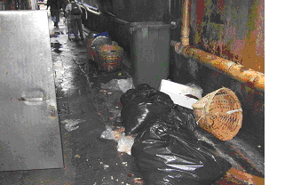 显示恶劣的卫生环境容易导致鼠患的照片