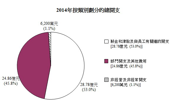 2013年按類別劃分的總開支圖表